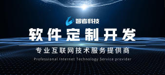 浙江智者科技 一站式軟件開(kāi)發(fā)解決方案